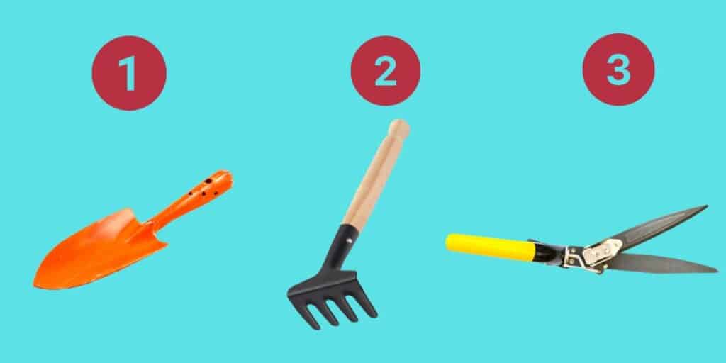 Uncover your secret personality type by choosing a garden tool - trailblazer, tracker, or observer?