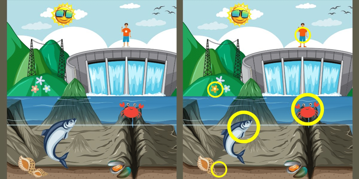 Spot the difference challenge: rush against the river's flow and find 5 subtle changes in under 11 seconds – can you beat the clock?