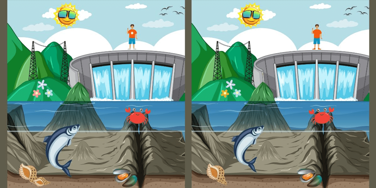 Spot the difference challenge: rush against the river's flow and find 5 subtle changes in under 11 seconds – can you beat the clock?